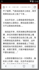 爱游戏app赞助的罗马